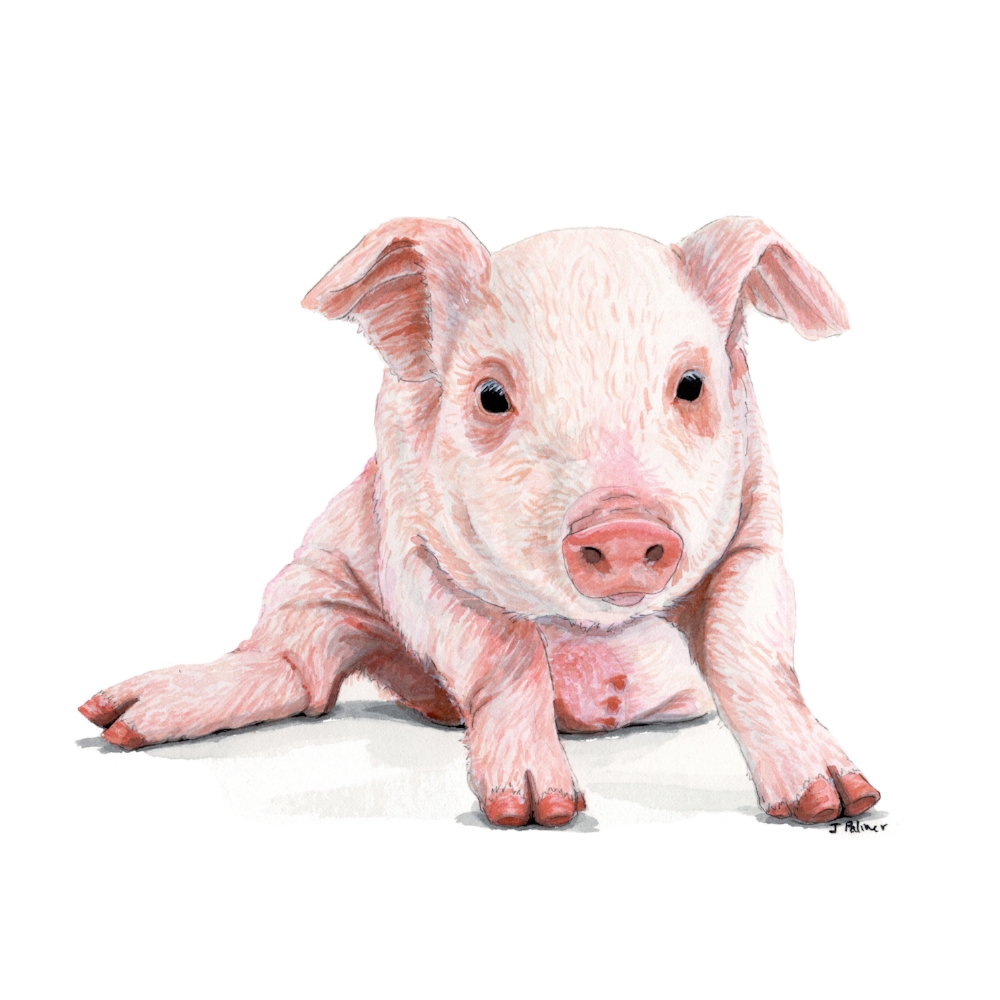 1017-PinkPiglet-joannapalmer.jpg