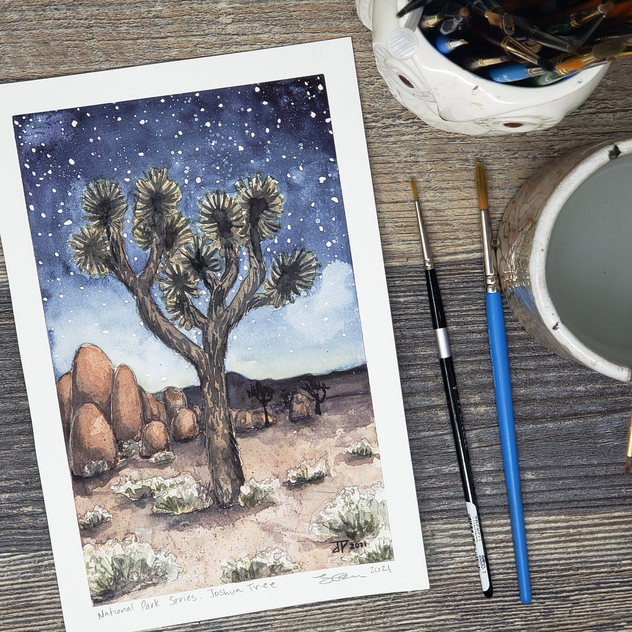 NPAF_DRTONPAIR2022_(Palmer)_(JoshuaTree).jpg