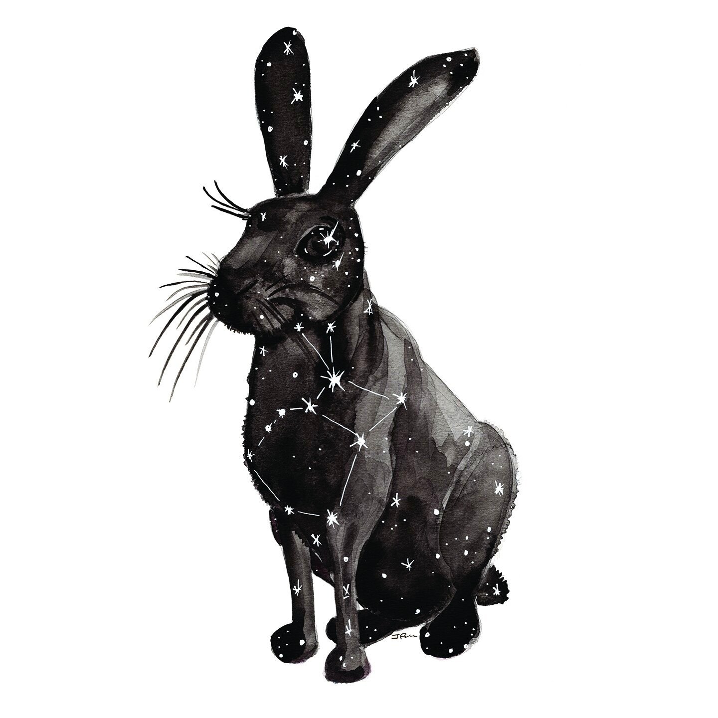1802-Lepus-01.jpg